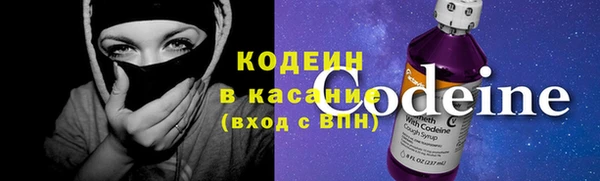 крисы Абаза