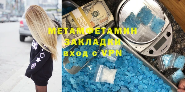 прущие грибы Новозыбков