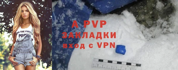 дживик Абинск