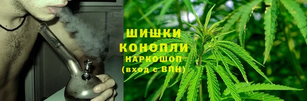 крисы Абаза